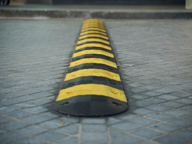Speed Bumps