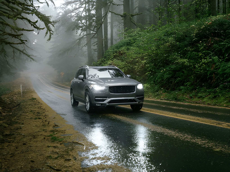 What About Fog and Rain